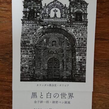 黒と白の世界　金子紳一郎・細密ペン画展